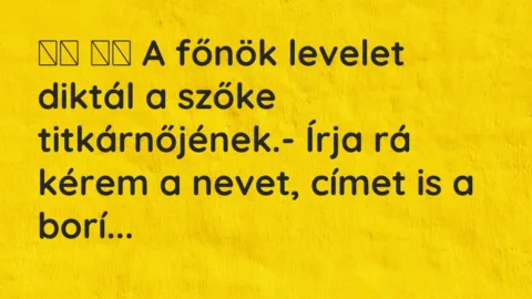 Vicc: 
		  
		  A főnök levelet diktál a szőke titkárnőjének.- Írja rá …