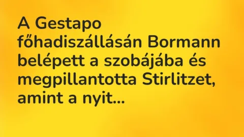 Vicc: A Gestapo főhadiszállásán Bormann belépett a szobájába és megpillantotta…