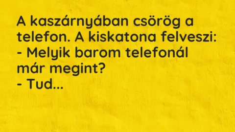 Vicc: A kaszárnyában csörög a telefon. A kiskatona felveszi:

– Melyik barom…