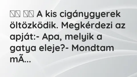 Vicc: 
		  
		  A kis cigánygyerek öltözködik. Megkérdezi az apját:-…