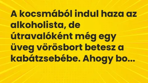 Vicc: A kocsmából indul haza az alkoholista, de útravalóként még egy üveg vörösbort…