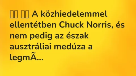 Vicc: 
		  
		  A közhiedelemmel ellentétben Chuck Norris, és nem pedig az …