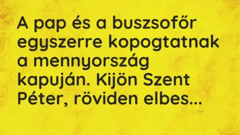 Vicc: A pap és a buszsofőr egyszerre kopogtatnak a mennyország kapuján. Kijön Szent…