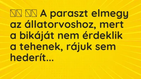 Vicc: 
		  
		  A paraszt elmegy az állatorvoshoz, mert a bikáját nem…