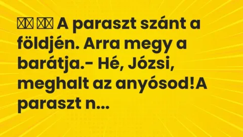 Vicc: 
		  
		  A paraszt szánt a földjén. Arra megy a barátja.- Hé,…