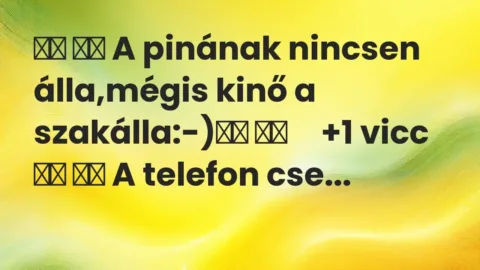 Vicc: 
		  
		  A pinának nincsen álla,mégis kinő a szakálla:-)		 …