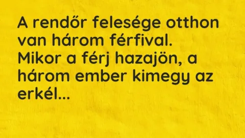 Vicc: A rendőr felesége otthon van három férfival.

Mikor a férj hazajön, a három…