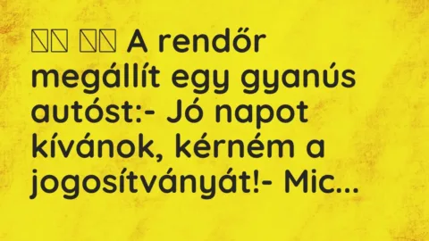 Vicc: 
		  
		  A rendőr megállít egy gyanús autóst:- Jó napot kívánok,…