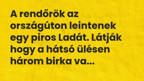Vicc: A rendőrök az országúton leintenek egy piros Ladát. Látják hogy a hátsó ülésen…