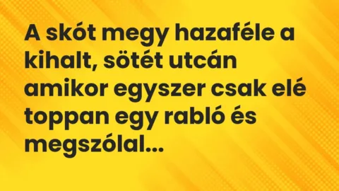 Vicc: A skót megy hazaféle a kihalt, sötét utcán amikor egyszer csak elé toppan egy…