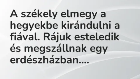 Vicc: A székely elmegy a hegyekbe kirándulni a fiával. Rájuk esteledik és megszállnak…