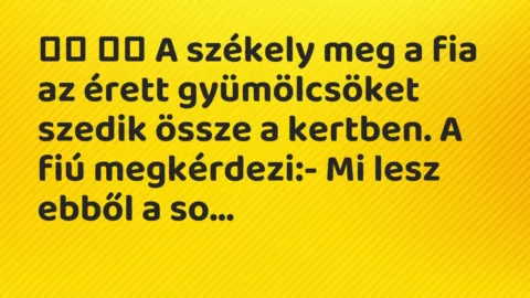 Vicc: 
		  
		  A székely meg a fia az érett gyümölcsöket szedik össze a…