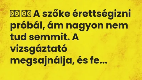 Vicc: 
		  
		  A szőke érettségizni próbál, ám nagyon nem tud semmit. A…