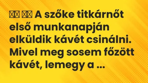 Vicc: 
		  
		  A szőke titkárnőt első munkanapján elküldik kávét csinálni….