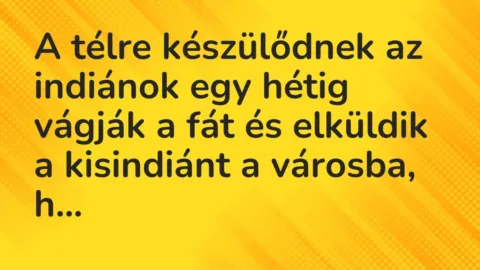 Vicc: A télre készülődnek az indiánok egy hétig vágják a fát és elküldik a kisindiánt…