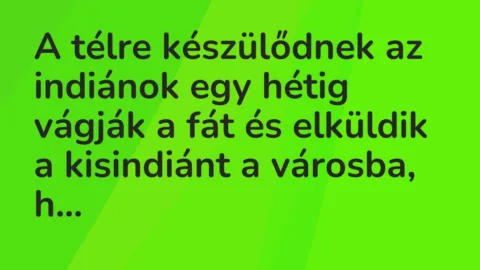 Vicc: A télre készülődnek az indiánok egy hétig vágják a fát és elküldik a kisindiánt…