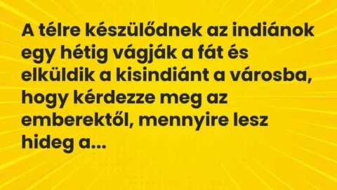 Vicc: A télre készülődnek az indiánok egy hétig vágják a fát és elküldik a kisindiánt…