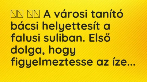 Vicc: 
		  
		  A városi tanító bácsi helyettesít a falusi suliban. Első…
