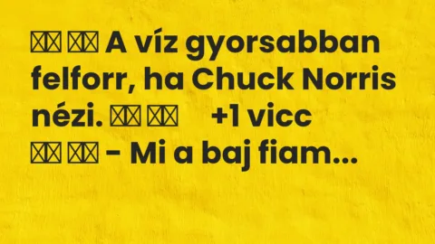 Vicc: 
		  
		  A víz gyorsabban felforr, ha Chuck Norris nézi. 		 …