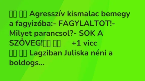 Vicc: 
		  
		  Agresszív kismalac bemegy a fagyizóba:-…