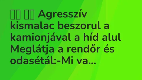 Vicc: 
		  
		  Agresszív kismalac beszorul a kamionjával a híd alul…
