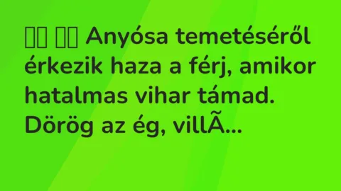 Vicc: 
		  
		  Anyósa temetéséről érkezik haza a férj, amikor hatalmas…