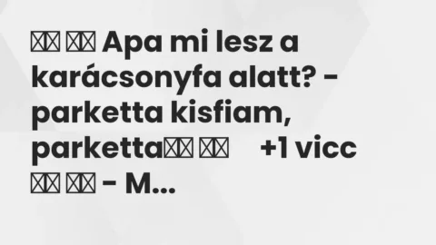 Vicc: 
		  
		  Apa mi lesz a karácsonyfa alatt? – parketta kisfiam,…