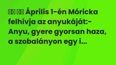 Vicc: 
		  
		  Április 1-én Móricka felhívja az anyukáját:- Anyu,…