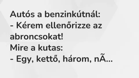 Vicc: Autós a benzinkútnál:

– Kérem ellenőrizze az abroncsokat!

Mire a…