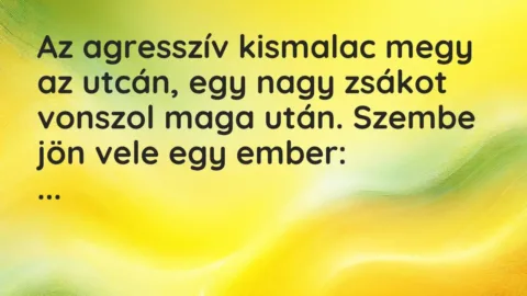 Vicc: Az agresszív kismalac megy az utcán, egy nagy zsákot vonszol maga után. Szembe…