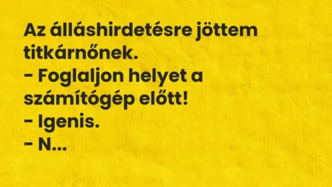 Vicc: Az álláshirdetésre jöttem titkárnőnek.

– Foglaljon helyet a számítógép…