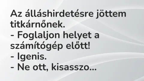 Vicc: Az álláshirdetésre jöttem titkárnőnek.

– Foglaljon helyet a számítógép…