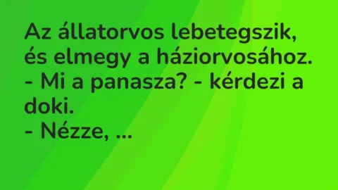 Vicc: Az állatorvos lebetegszik, és elmegy a háziorvosához.

– Mi a panasza? -…