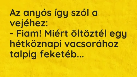 Vicc: Az anyós így szól a vejéhez:

– Fiam! Miért öltöztél egy hétköznapi…