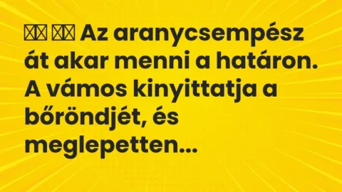 Vicc: 
		  
		  Az aranycsempész át akar menni a határon. A vámos…