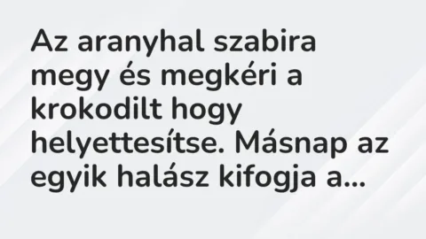 Vicc: Az aranyhal szabira megy és megkéri a krokodilt hogy helyettesítse. Másnap az…