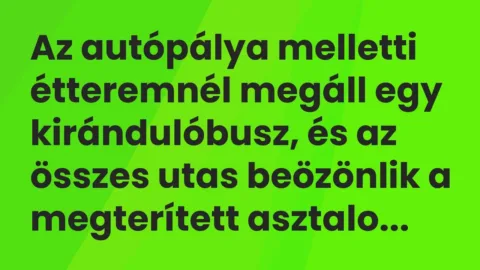 Vicc: Az autópálya melletti étteremnél megáll egy kirándulóbusz, és az összes utas…