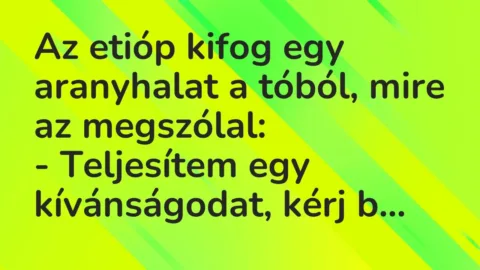 Vicc: Az etióp kifog egy aranyhalat a tóból, mire az megszólal:

– Teljesítem egy…