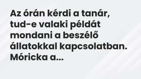 Vicc: Az órán kérdi a tanár, tud-e valaki példát mondani a beszélő állatokkal…