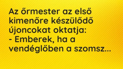 Vicc: Az őrmester az első kimenőre készülődő újoncokat oktatja:

– Emberek, ha a…