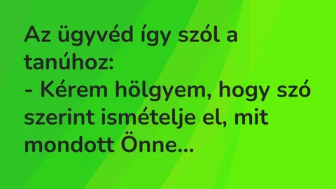 Vicc: Az ügyvéd így szól a tanúhoz:

– Kérem hölgyem, hogy szó szerint ismételje…