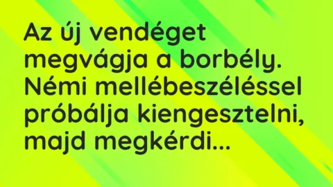 Vicc: Az új vendéget megvágja a borbély. Némi mellébeszéléssel próbálja kiengesztelni,…