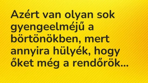 Vicc: Azért van olyan sok gyengeelméjű a börtönökben, mert annyira hülyék, hogy őket…