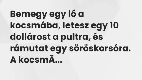 Vicc: Bemegy egy ló a kocsmába, letesz egy 10 dollárost a pultra, és rámutat egy…