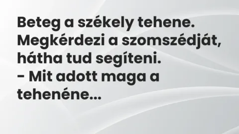 Vicc: Beteg a székely tehene. Megkérdezi a szomszédját, hátha tud segíteni.

– Mit…