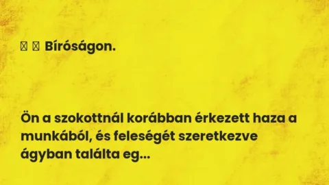 Vicc: 
	    	    Bíróságon.





Ön a szokottnál korábban érkezett haza a…