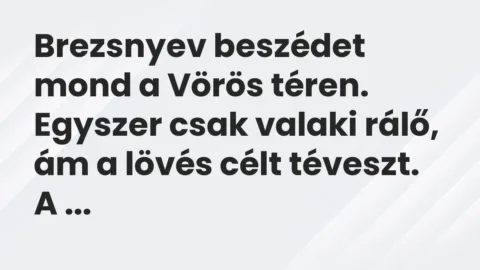 Vicc: Brezsnyev beszédet mond a Vörös téren.

Egyszer csak valaki rálő, ám a lövés…