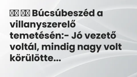 Vicc: 
		  
		  Búcsúbeszéd a villanyszerelő temetésén:- Jó vezető volt…