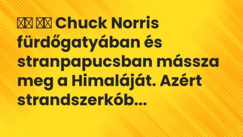 Vicc: 
		  
		  Chuck Norris fürdőgatyában és stranpapucsban mássza meg a…