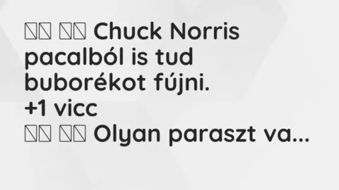 Vicc: 
		  
		  Chuck Norris pacalból is tud buborékot fújni. 		 …